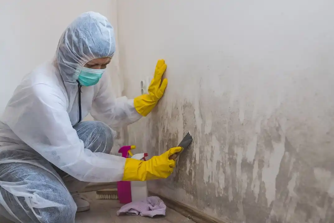 water damage restoration service Eagle Ranch